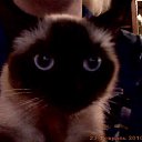 ���� ���@����@, �������, 49 ��� - ��������� 23 ������� 2010 � ������ ���� �����