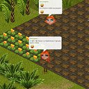 ���� Meow, ������ - ��������� 5 ������� 2013 � ������ �Tropikania�