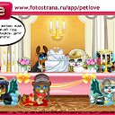 ���� ������, ����������, 40 ��� - ��������� 25 ������ 2010 � ������ �PetLove�