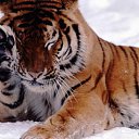 ���� Sanat, ���� - ��������� 22 ������� 2012 � ������ ������� �������!�