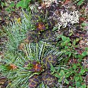 ���� ���, ������� - ��������� 22 ������ 2011 � ������ �������� ������