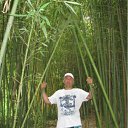 ���� �������, ������, 59 ��� - ��������� 24 ���� 2011 � ������ ������ 2011�