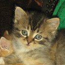 ���� ���������, �����, 70 ��� - ��������� 7 ���� 2013 � ������ ����� ��� ������������