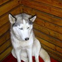 ���� �������, ����������� - ��������� 25 ������ 2013 � ������ ���� ����������