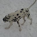 ���� ������, �������, 29 ��� - ��������� 27 ��� 2010 � ������ �����