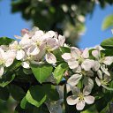 ���� �����, ��������, 45 ��� - ��������� 3 ������� 2010 � ������ ����� �������