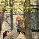 ���� �����, �����-���������, 26 ��� - ��������� 2 ������� 2011 � ������ ������