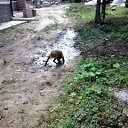 ���� ������, ������, 48 ��� - ��������� 23 ����� 2013 � ������ �����,������,������ � ������