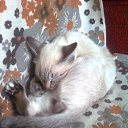 ���� ����, ����, 24 ���� - ��������� 11 ������ 2011