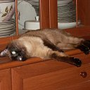 ���� ���������, ������, 55 ��� - ��������� 14 ���� 2012 � ������ ���� ����������