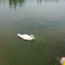 ���� ������, ��������� - ��������� 9 ���� 2012 � ������ ���� ����������