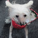 ���� "@����", �����-���������, 25 ��� - ��������� 3 ��� 2010 � ������ ������ ������