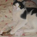 ���� ����, ������ - ��������� 11 ���� 2010 � ������ ������