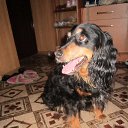 ��� ������ � ��� ���� �������� �� ������� ����� ��� ������������