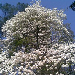 ���� ������, ���� - ��������� 16 ������� 2011