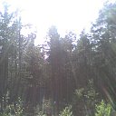 ���� �����, �����-���������, 59 ��� - ��������� 30 ����� 2010 � ������ ��������