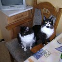 ���� Mihail, �������, 62 ���� - ��������� 8 ������� 2011