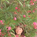 ���� �����, ������������, 49 ��� - ��������� 19 �������� 2011