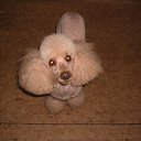 ���� ����, �������, 64 ���� - ��������� 19 ��� 2012 � ������ ���� ����������