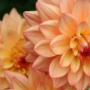 ���� ����� - ���������� ��������!!!, �����������, 56 ��� - ��������� 11 ������ 2010 � ������ ����������