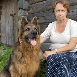 �������, �����-���������, 76 ���