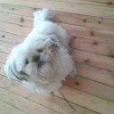 ���� A, �������� - ��������� 30 ���� 2013 � ������ ���� ����������