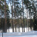 ���� ������, �����-���������, 66 ��� - ��������� 1 ������ 2012 � ������ ����� 2012 ����.�