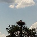  , -, 57  -  18  2012    