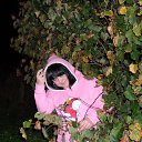 ���� �����, �����-���������, 48 ��� - ��������� 21 ������ 2013 � ������ ���� ����������