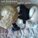 ���� �����, ������, 35 ��� - ��������� 31 ��� 2012 � ������ �������