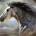  ~~,  -  4  2010   Carol Cavalaris,      .