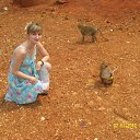 ���� ���������, ������������, 41 ��� - ��������� 12 ����� 2012 � ������ ��������