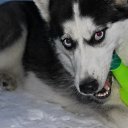 ���� �������, ������������, 42 ���� - ��������� 1 ����� 2012 � ������ ���� ����� � ���-�������.�