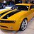 ���� ���������, �����, 33 ���� - ��������� 29 ���� 2012