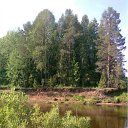 ���� �������, �����, 51 ��� - ��������� 24 ������ 2012 � ������ ���������2011 ���� �����