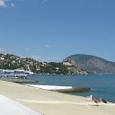  , , 33  -  15  2009       ?