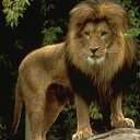 ���� �������, ������ - ��������� 15 ������ 2012 � ������ ��������