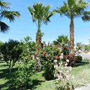 ���� ����, ���, 69 ��� - ��������� 20 ��� 2013 � ������ ���� ����������