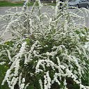 ���� ���� ����, ����������, 50 ��� - ��������� 19 ����� 2010 � ������ ������-2009�