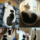 ���� ����, ����������� ����, 56 ��� - ��������� 23 �������� 2011 � ������ ���� ����������