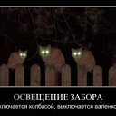 ���� Tata, �������� - ��������� 5 ���� 2010 � ������ ������