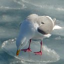 ���� ����, ������-�������, 49 ��� - ��������� 22 �������� 2012 � ������ ���� ����������