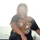 ���� ������, ��������, 41 ��� - ��������� 30 ������� 2010 � ������ ���� ����������