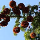 ���� Tatyana, �������, 50 ��� - ��������� 1 �������� 2009 � ������ �������