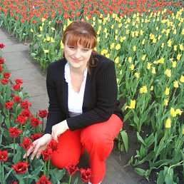 �����, ������, 53 ����