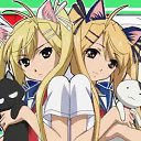 ���� �����, ������ - ��������� 13 ������� 2012 � ������ �PetLove�