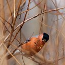 ���� �����, �������������, 25 ��� - ��������� 28 ���� 2013 � ������ ������������. ������� ��������� ����������� 2010.�