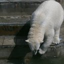 ���� ������� �����, ����������� - ��������� 29 ���� 2011 � ������ �������