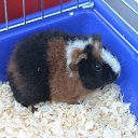 ���� ������-������� ��� ���� �����, ��������, 85 ��� - ��������� 3 ���� 2010 � ������ ���� ��������!�