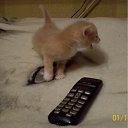  , -, 57  -  22  2009   ,   